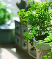 绍兴专属于你的开运指南，助你鸿运当头福满身！